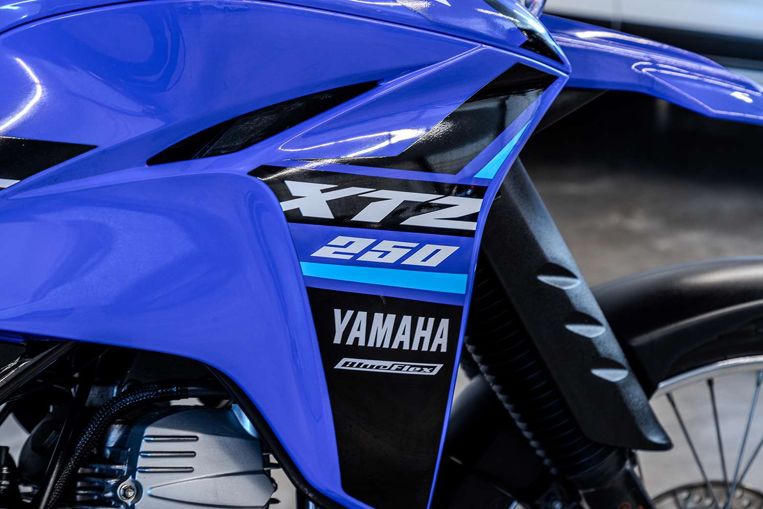 XTZ250 Lander — foto 6